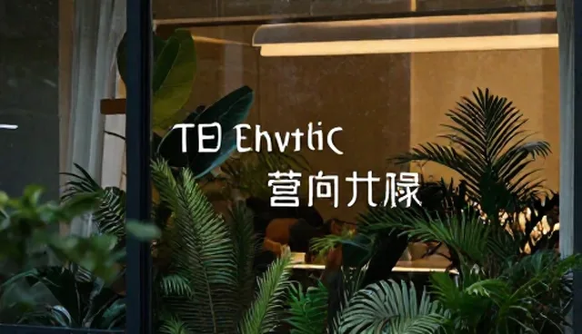 品牌视觉设计中的实际取舍与适用条件分析